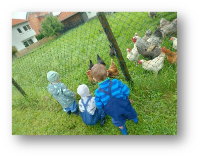 Besuch bei den Hühnern Besuch bei den Hühnern