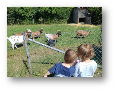 Besuch bei den Ziegen Besuch bei den Ziegen
